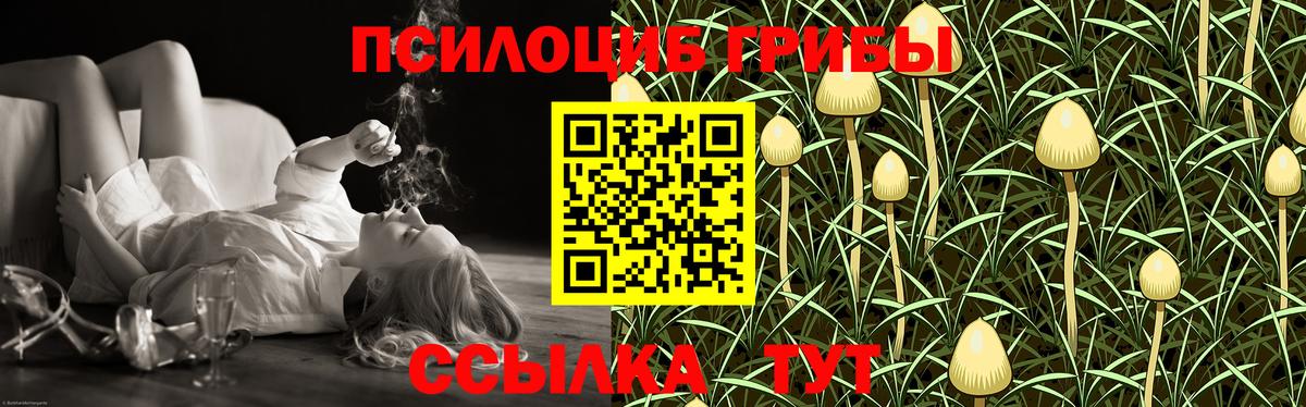 Владикавказ  Галлюциногенные грибы Psilocybe  Вход с VPN 